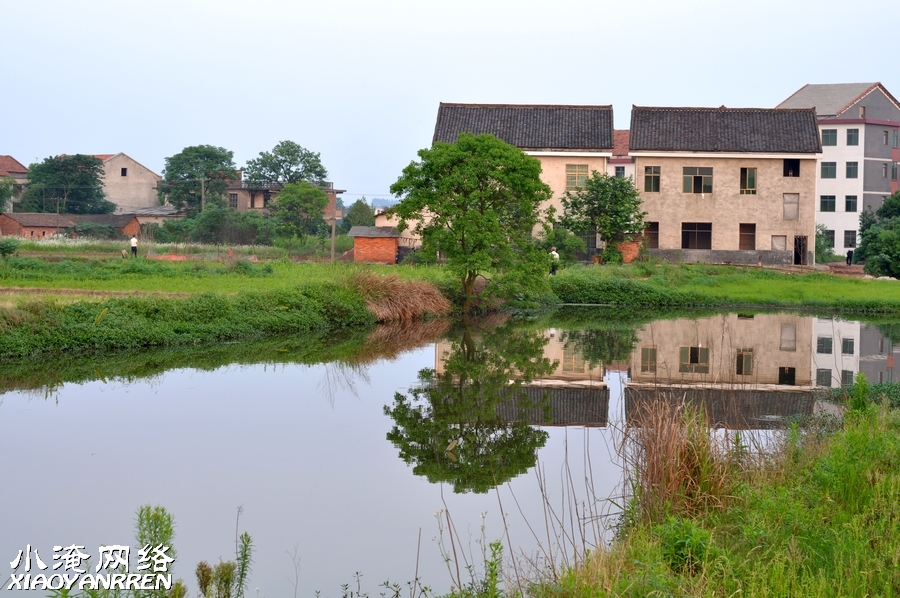 DSC_8724.jpg