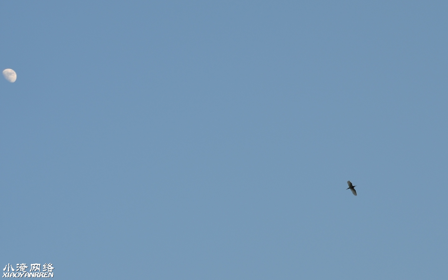 DSC_8744.jpg