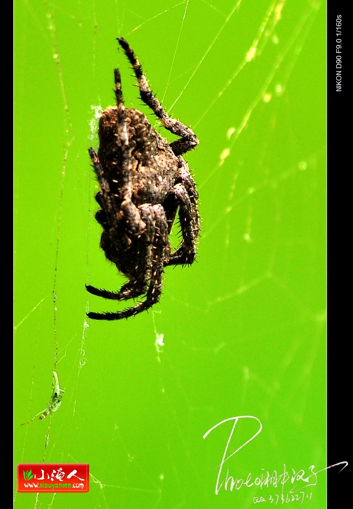 DSC_0746.jpg