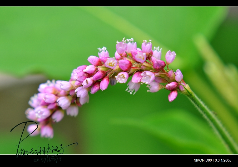 DSC_0798.jpg