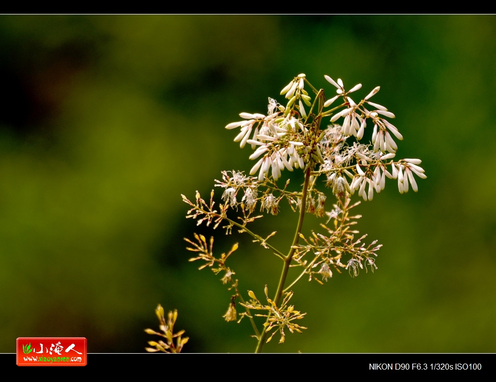 DSC_2780.jpg