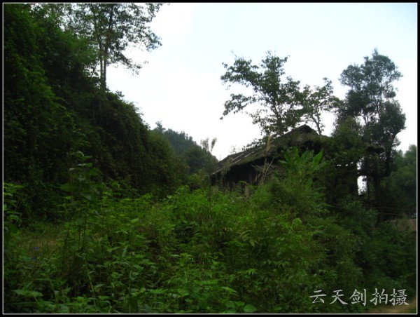 conew_img_4289.jpg