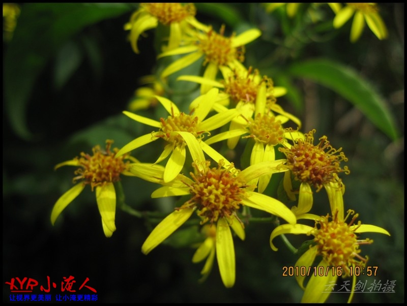 conew_img_5620.jpg