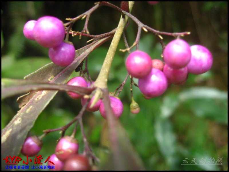 conew_img_5632.jpg