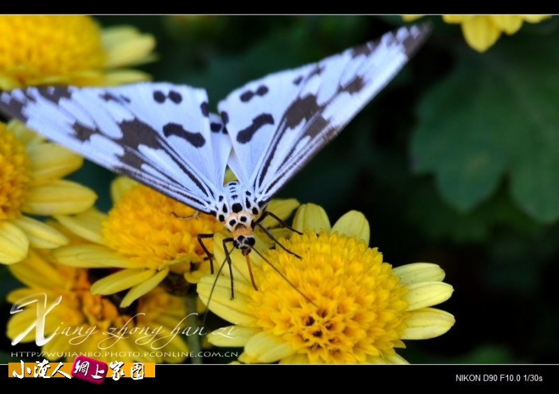 DSC_8963.jpg