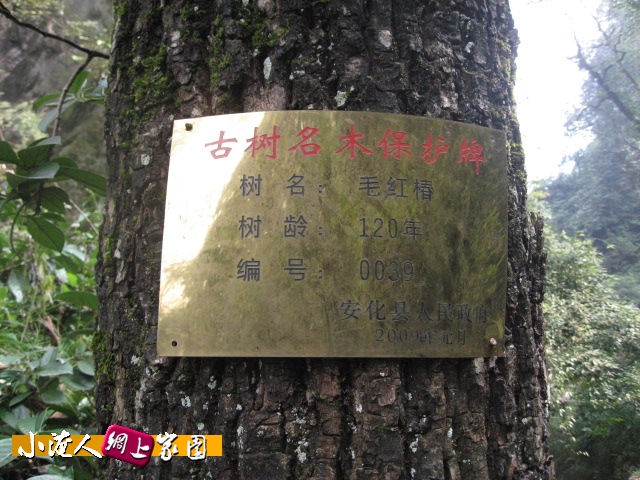 IMG_6777.jpg