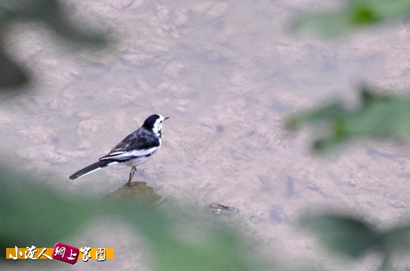 DSC_9128.jpg