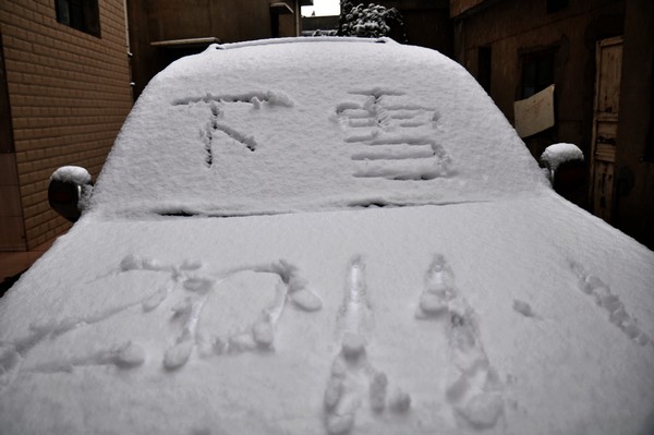 DSC_3771.jpg