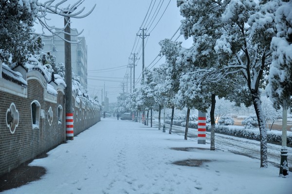 DSC_3822.jpg