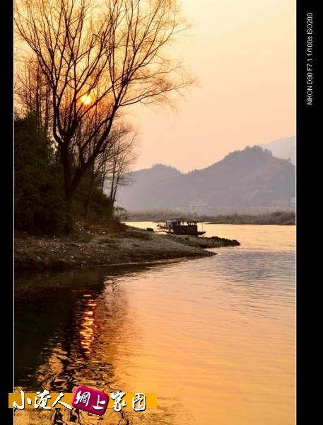 DSC_5533.jpg