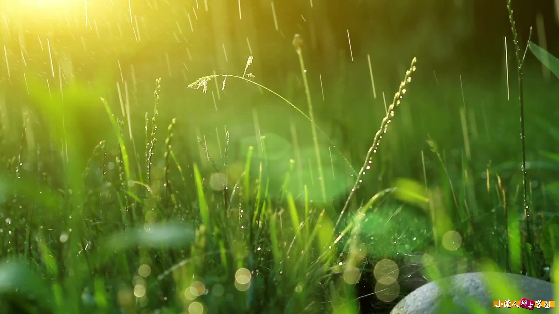 7614507f54024207aa7140de2ce7a775-00001.jpg