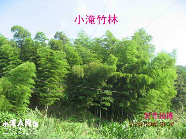 照片 143.jpg