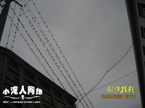 照片 063_conew1.jpg