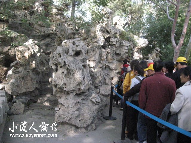 照片 542.jpg