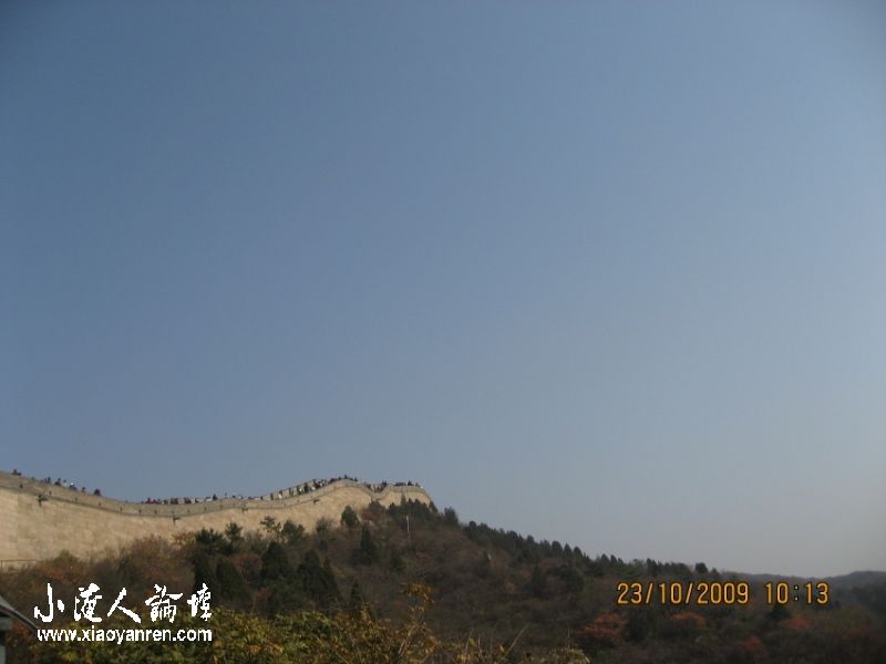 照片 869_conew1.jpg