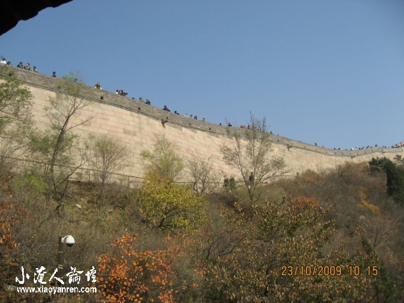 照片 871_conew1.jpg