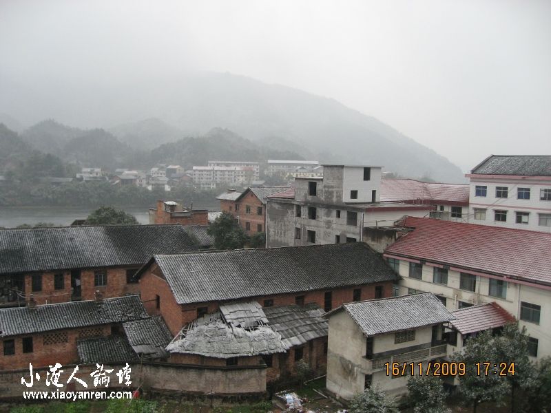 照片 008.jpg