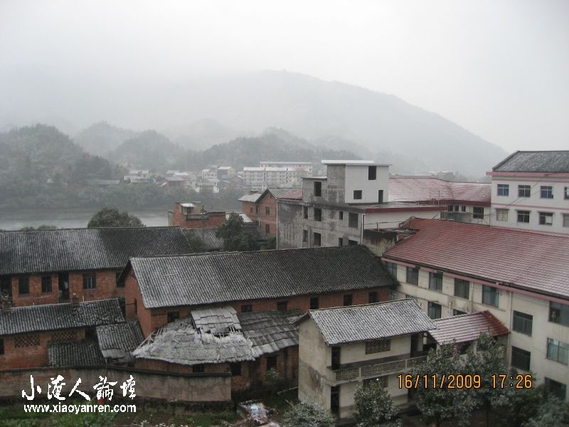 照片 014.jpg