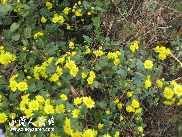 照片 024.jpg
