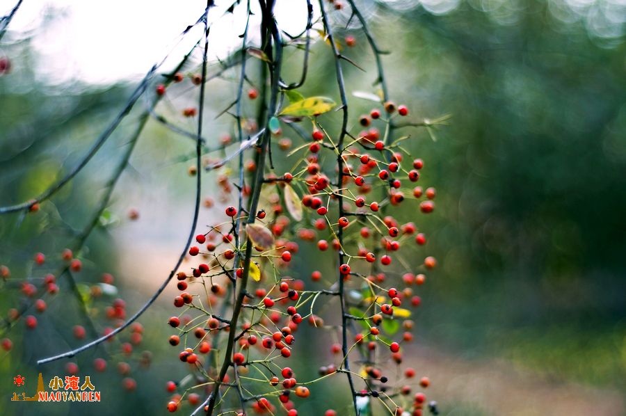 DSC_4209.JPG
