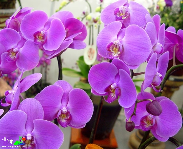 200612417356718_conew1.jpg