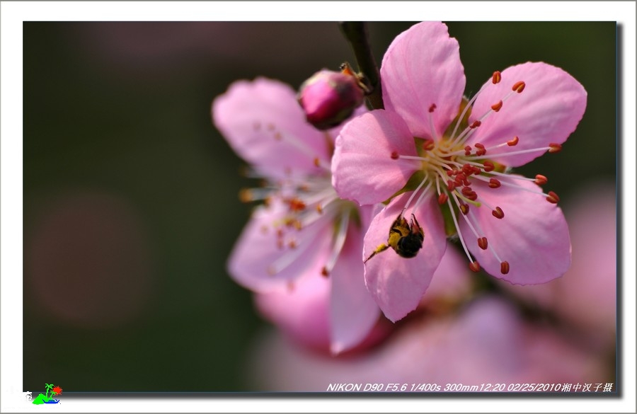 DSC_6556.jpg