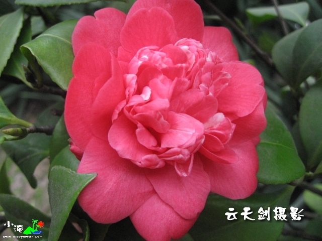 IMG_0312_conew1.jpg