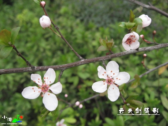 IMG_0265_conew1.jpg