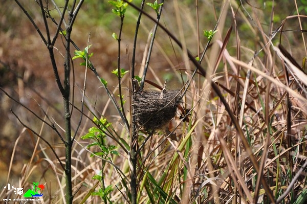 DSC_7426.jpg