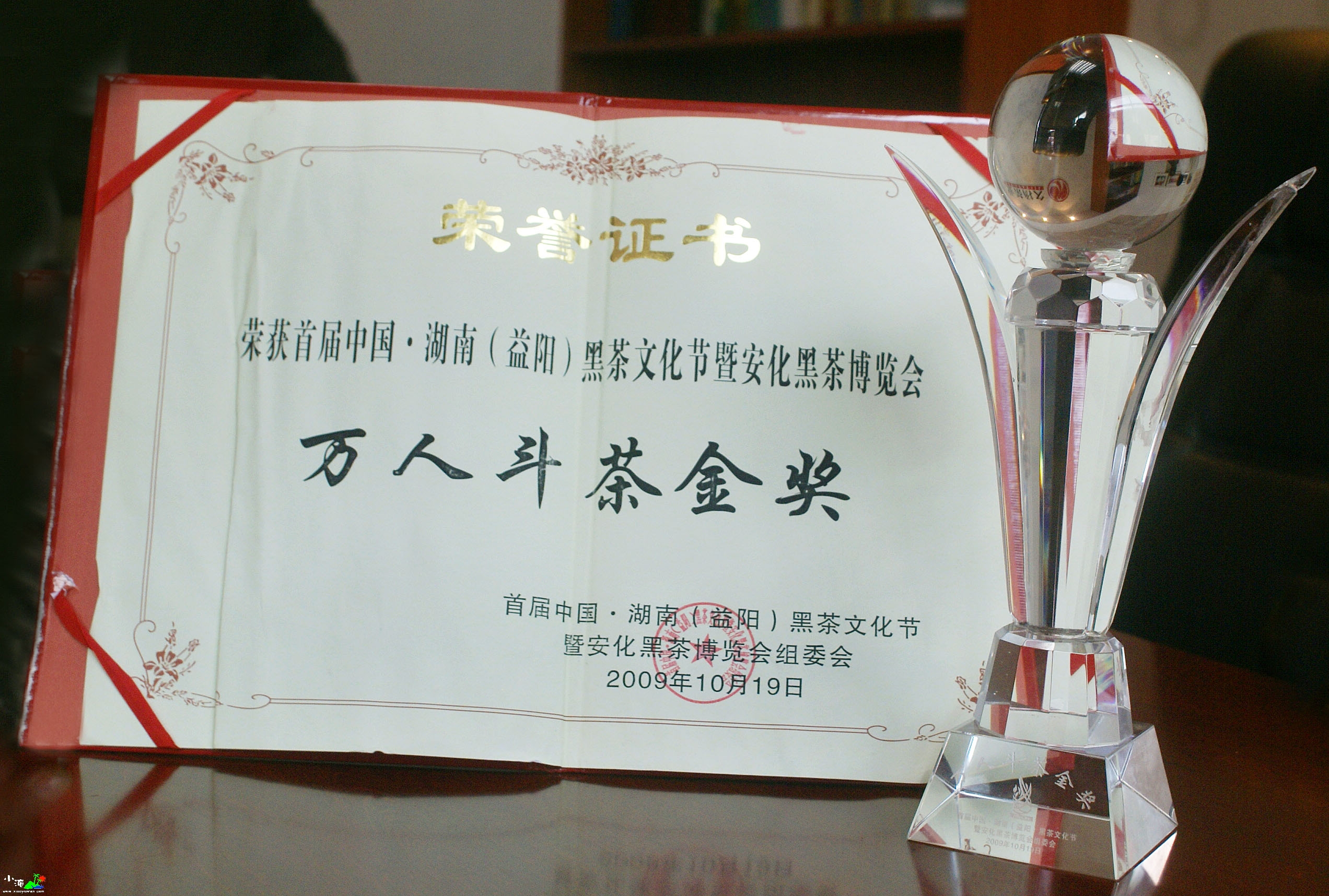 DSC01000.jpg